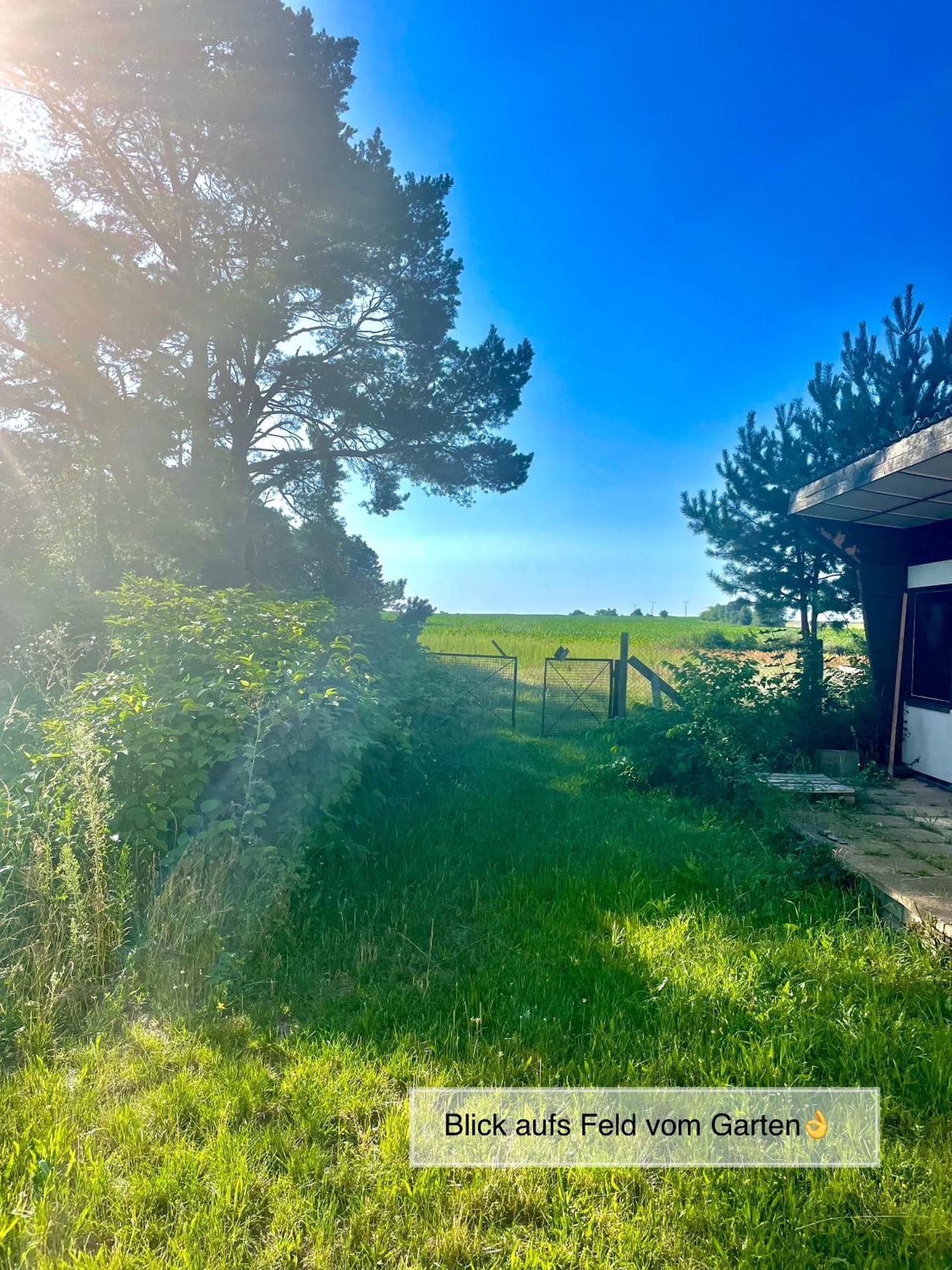 Modernes Ferienhaus Mit 3 Schlafzimmern In Der Naehe Vom Scharmuetzelsee Wendisch Rietz Exterior foto